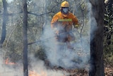 A Victorian firefighter works to back-burn and put out hotspots.