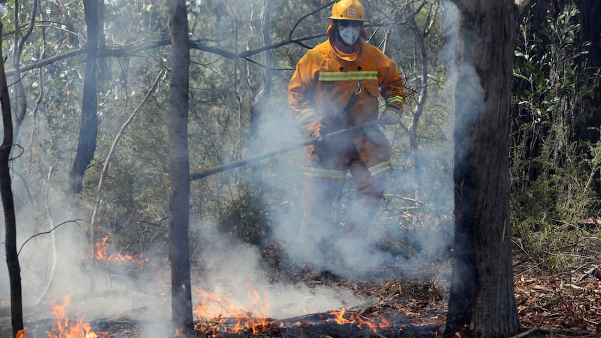 A Victorian firefighter works to back-burn and put out hotspots.