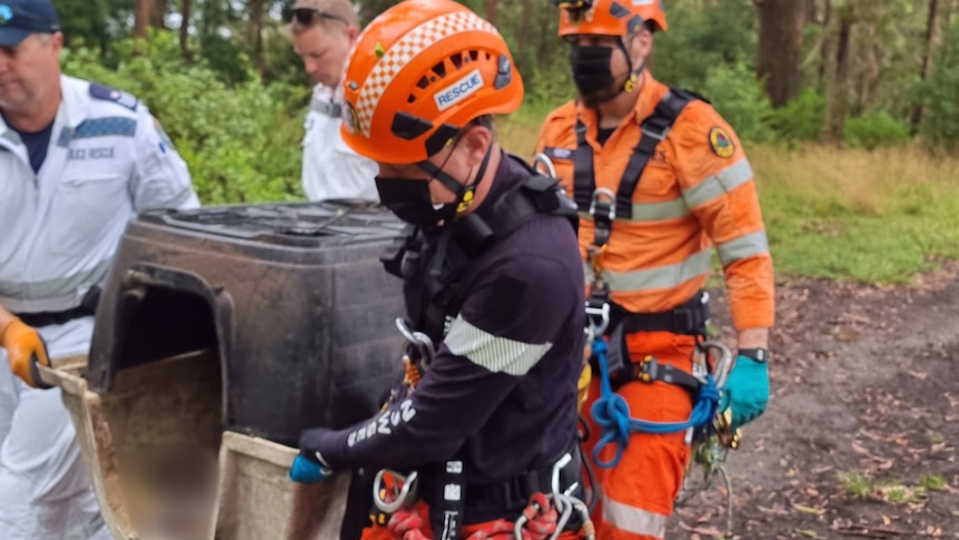 SES volunteers and police rescue officers carry an upside-down dog kennel through a bushy area.