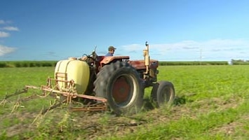 It's been a cracking start to the far north Queensland sugar harvest.