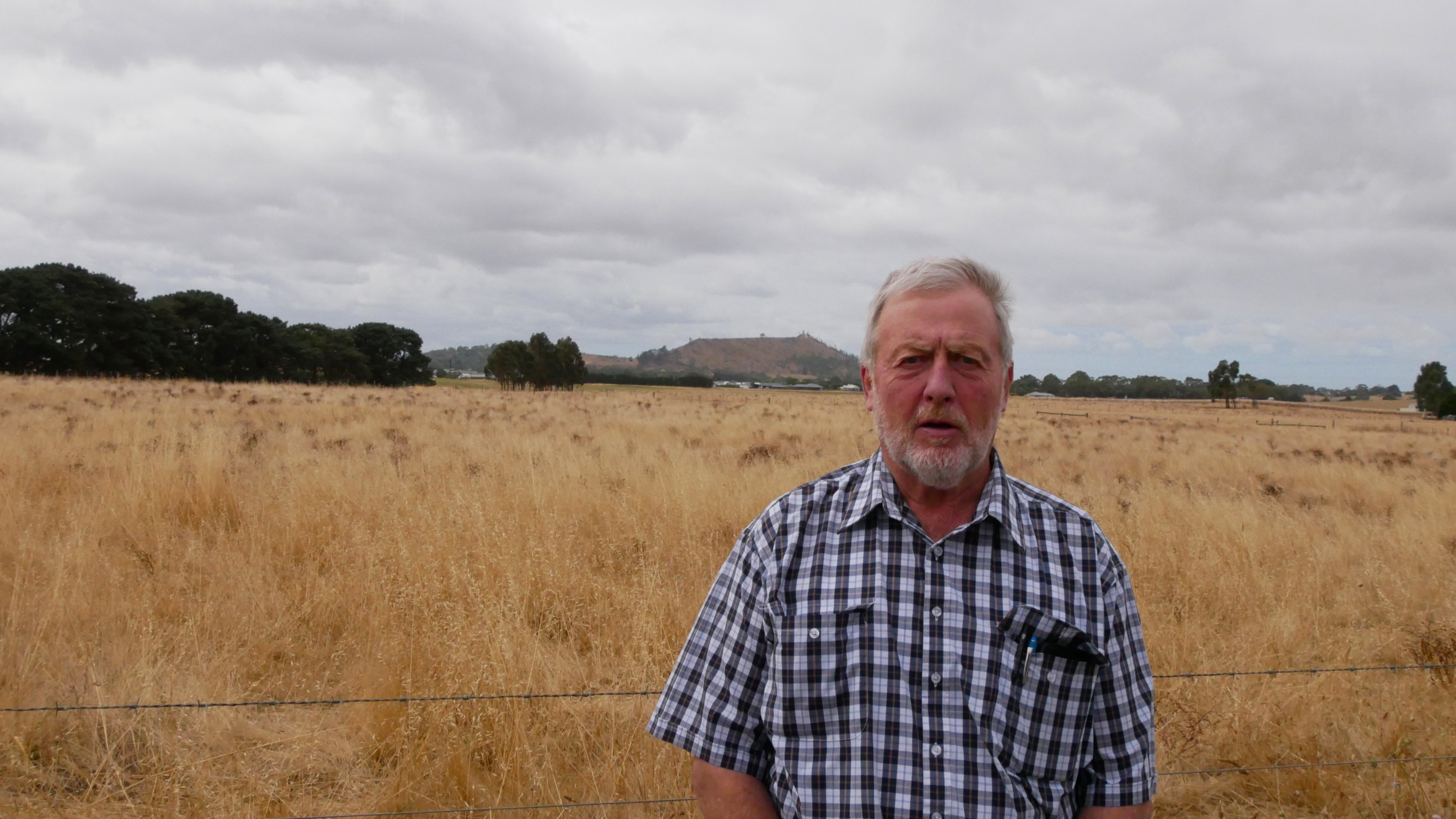 Старик в клетчатой ​​рубашке стоит перед открытым полем с желтой травой.