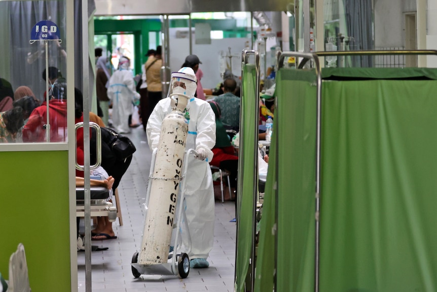 A paramedic pushes an oxygen tank at the emergency ward of an overcrowded hospital
