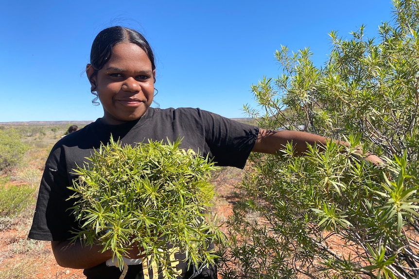 An Aboriginal girl holds a bunch of branches she's just picked from a shrub nearby. She smiles under a brilliant blue sky.