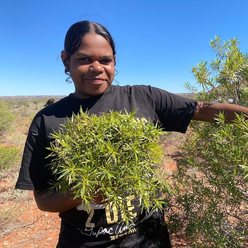 An Aboriginal girl holds a bunch of branches she's just picked from a shrub nearby. She smiles under a brilliant blue sky.