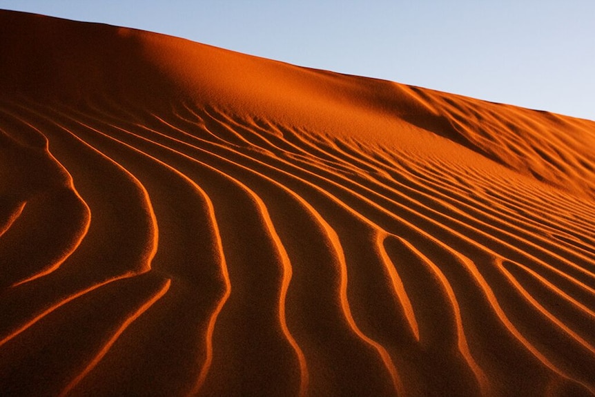 A close up of a red sand dune.