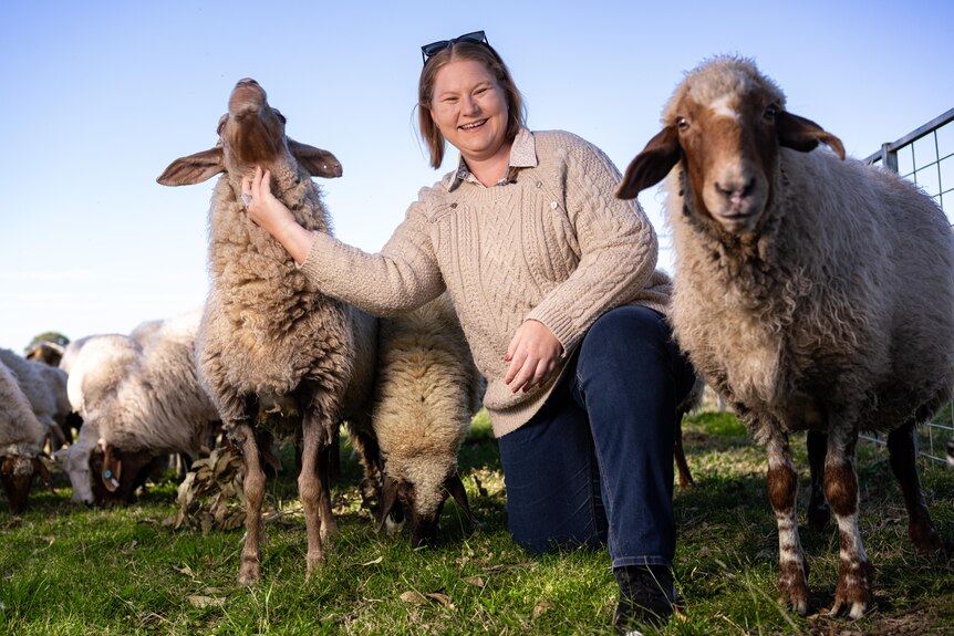 A woman pats a sheep