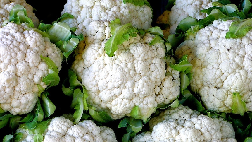 Several heads of cauliflower.