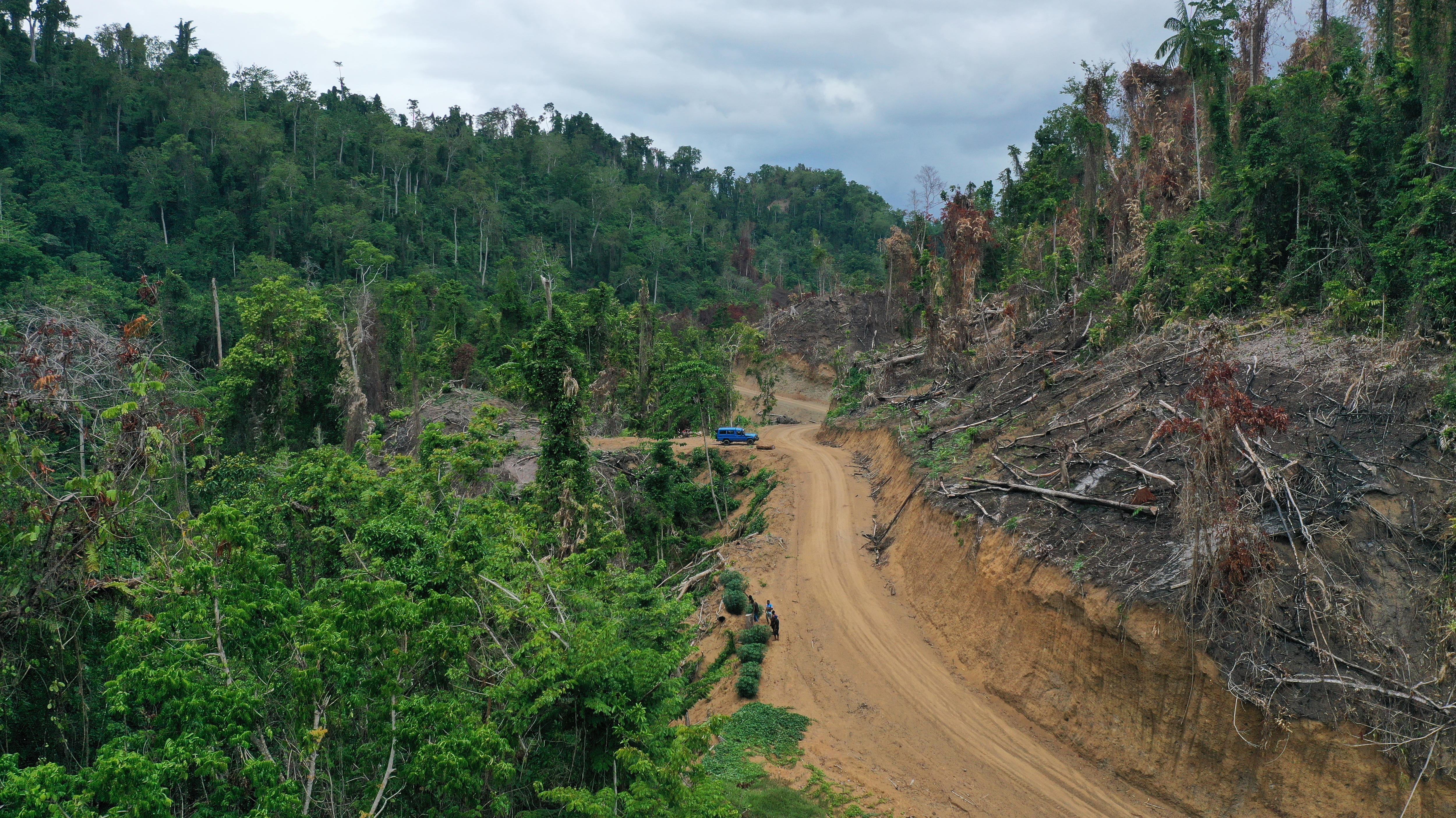 Carbon Credit Schemes In Papua New Guinea Raise Fears Of Unfulfilled   B2c32bb398a513a7804b606f6bf9c4a2