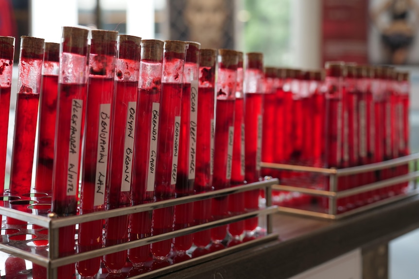 Fake blood vials in a row, labeled with names.
