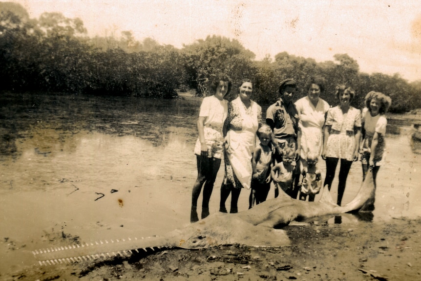 black and white photo of a crowd with a large, dead sawfish at Tweed Heads, New South Wales in the 1960s