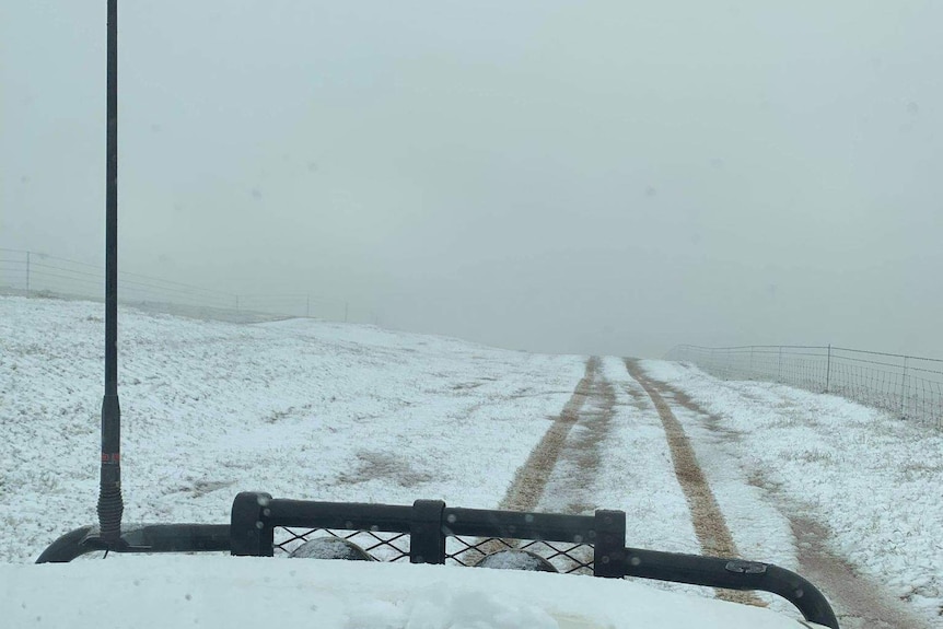 A paddock covered in snow.