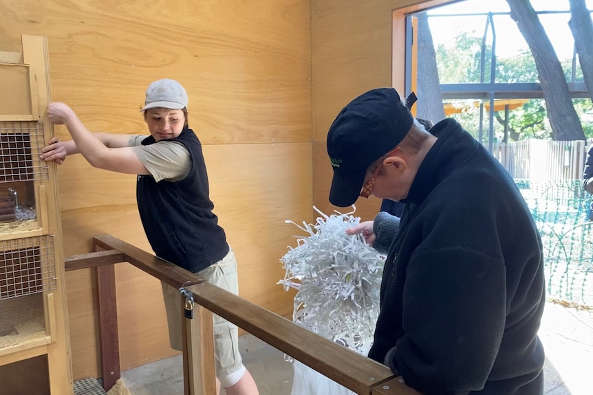 A woman holding shredded paper to go into an animal enclosure