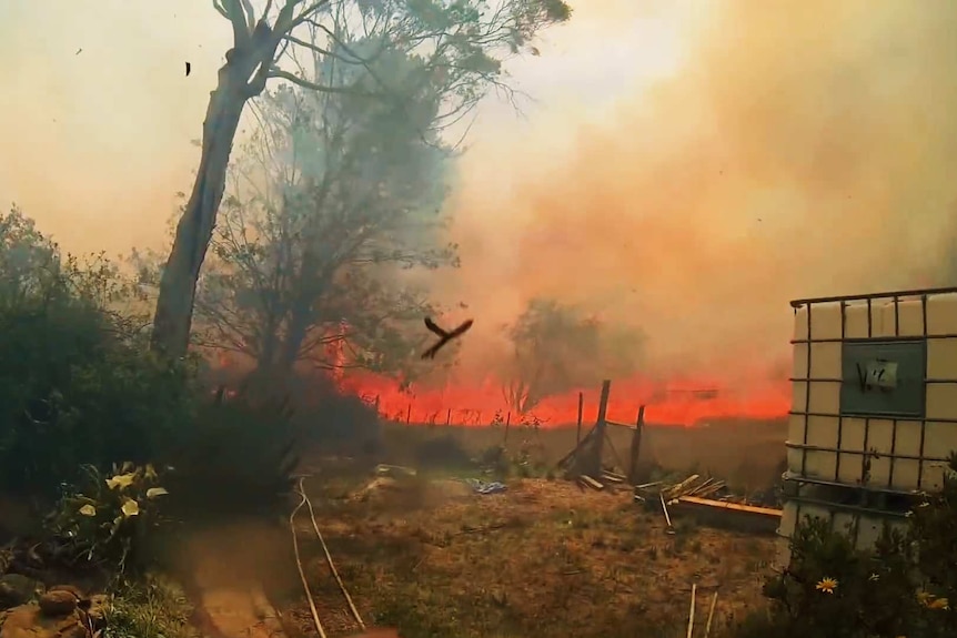 The ferocious Mount Victoria bush fire taken from the back corner of Simon Crosbie's home, just minutes before it caught alight.