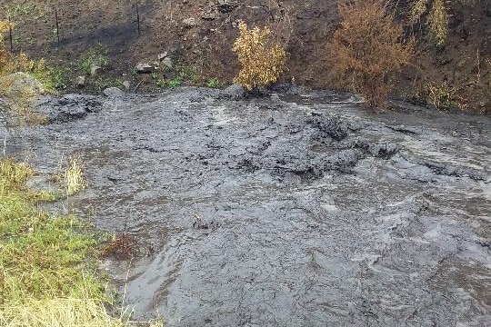 Bushfire affected landscapes wash bushfire debris into Tambo River