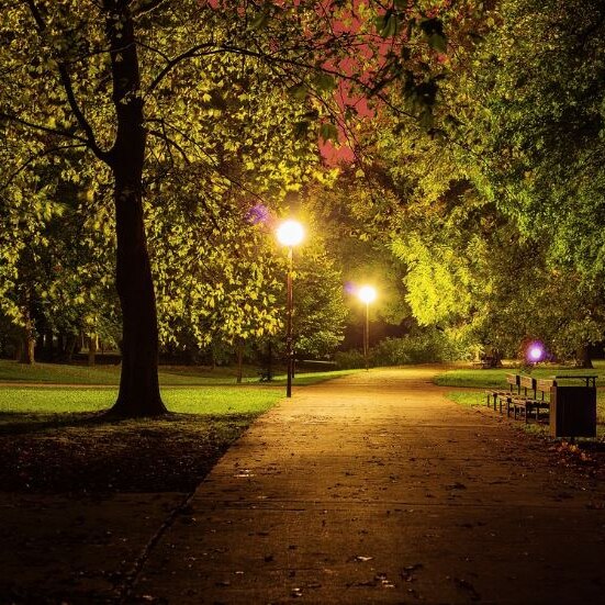 Photo of a park at night 