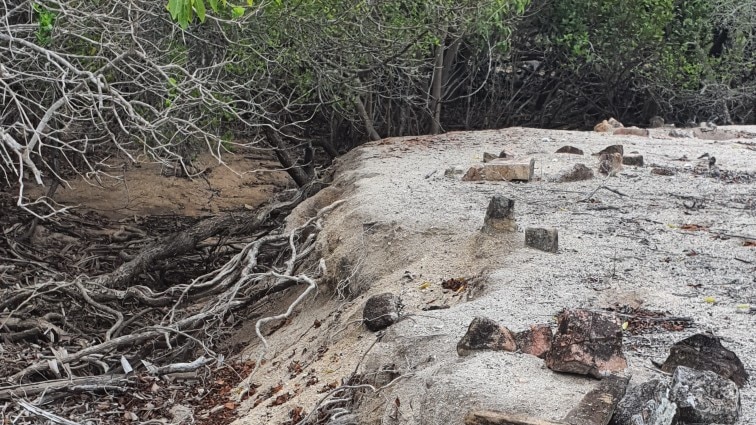 A wooden cross and stones that mark gravesites are scattered in the sand, some slipping down a slope into a mangrove bed.