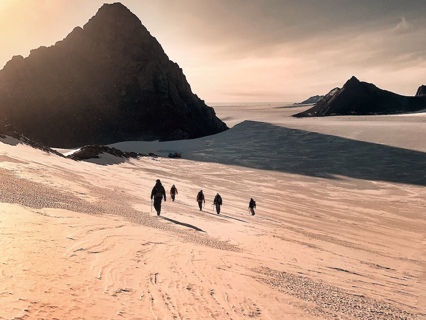 Five figures trek across ice in Antarctica, the sunlight gives the scene a golden tinge.