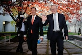 Two men in suits walking under a tree with orange leaves in the courtyard of Parliament House.