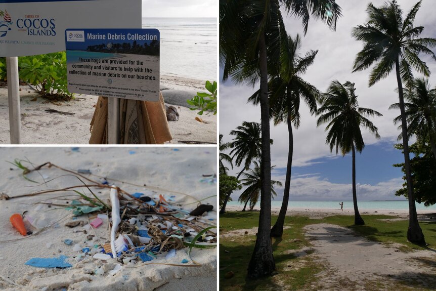 Three pictures compiled: Plastic toothbrush and micro plastics, tropical palm scene, and rubbish collection bags.