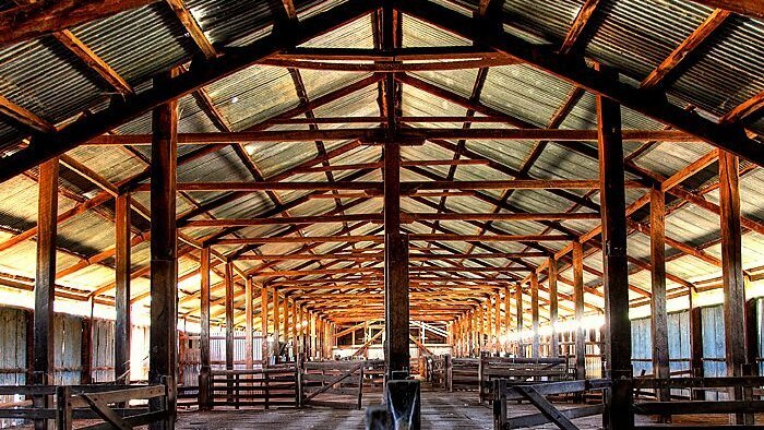 The inside of an empty woolshed