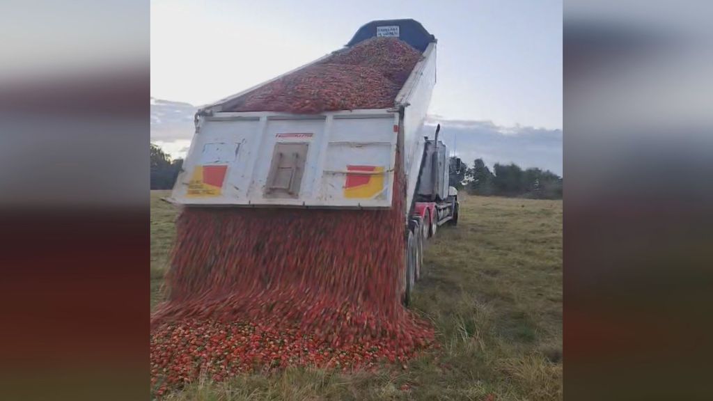 Semi-trailer loads of strawberries lost - ABC News
