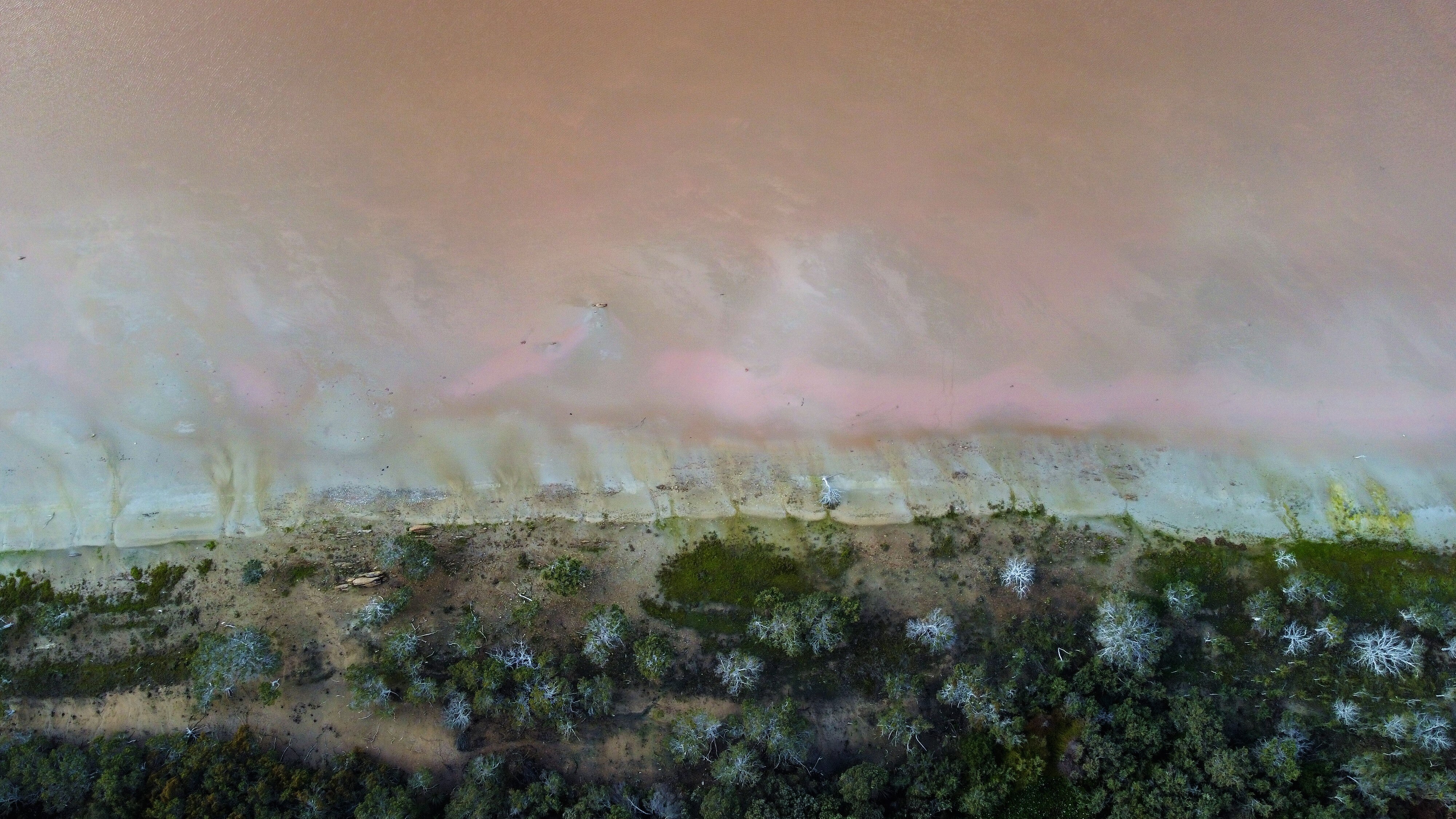 An aerial shot of a pink lake, a salty beach and green bushland.