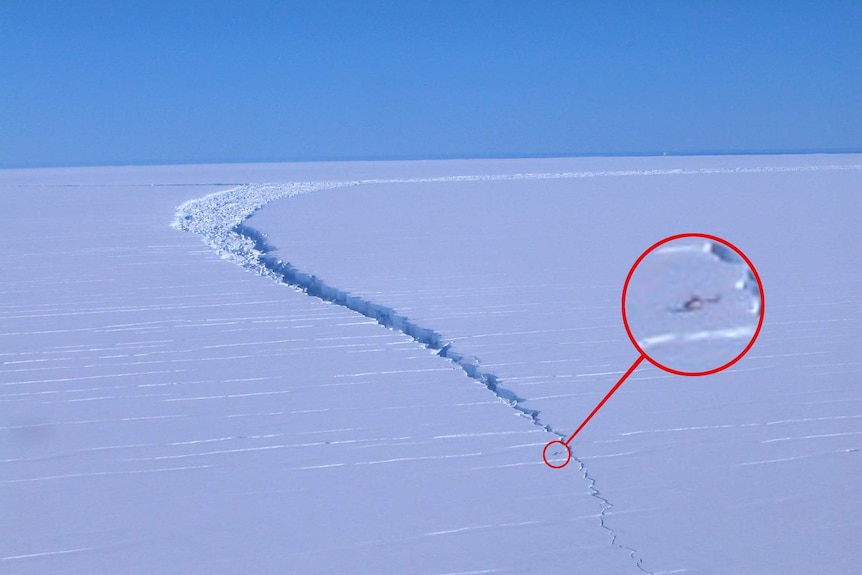 An inset points to the location of a helicopter on the Amery ice shelf