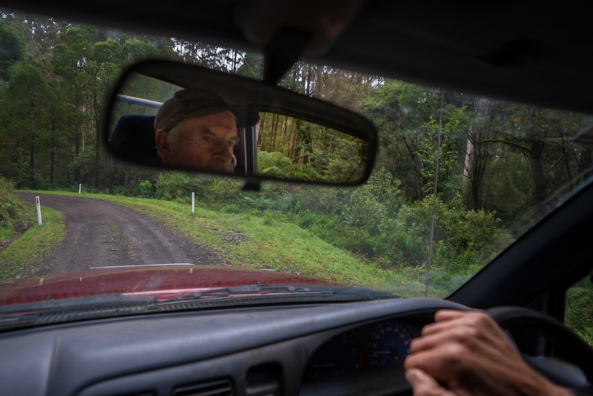 A man drives a car in the forest.