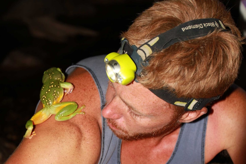 Dr Simon Clulow with a magnificent tree frog.