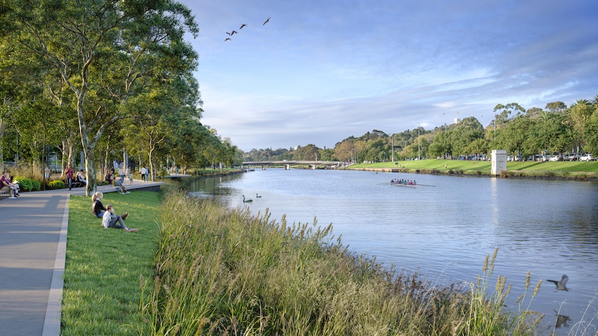 A digital image of native grasses along Birrarung Marr along Melbourne's Yarra River.