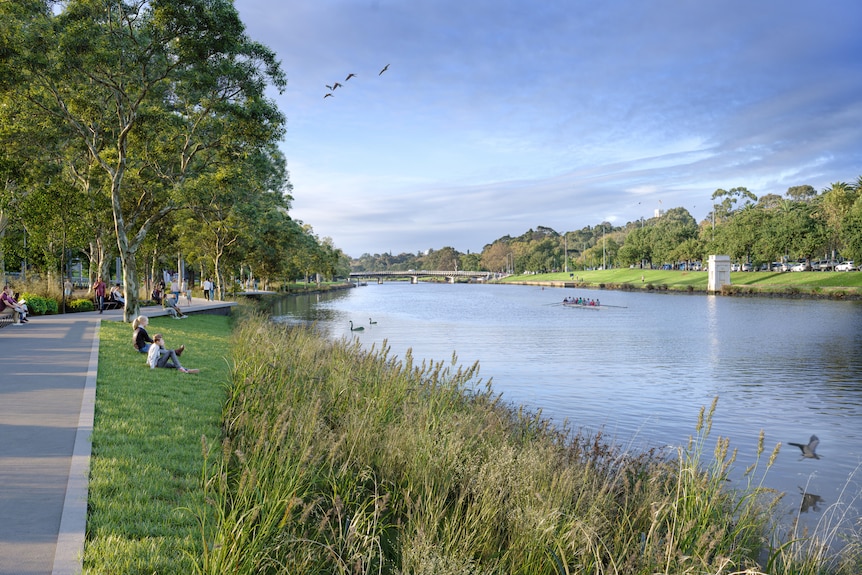 A digital image of native grasses along Birrarung Marr along Melbourne's Yarra River.