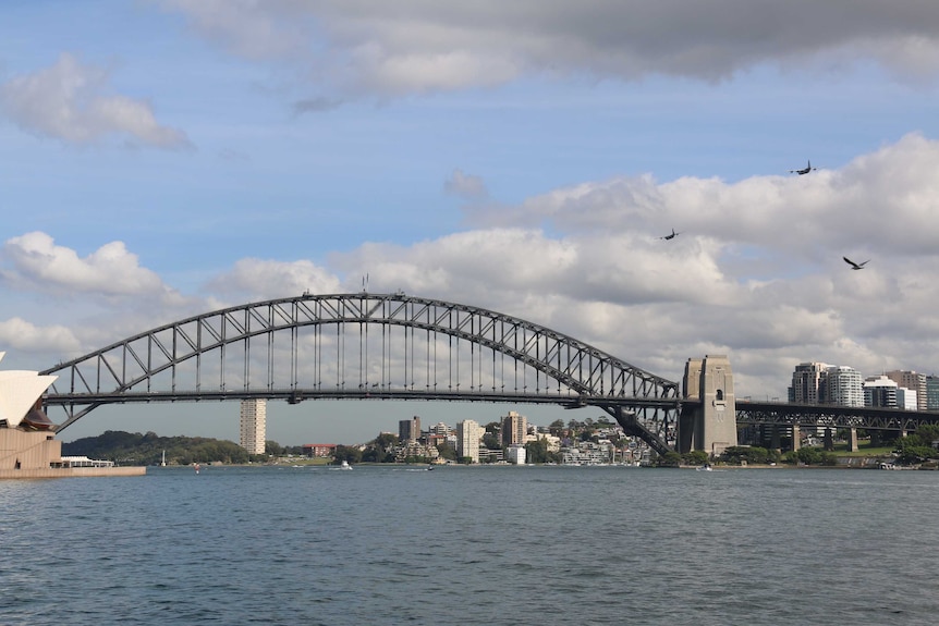 Planes fly over Sydney Harbour