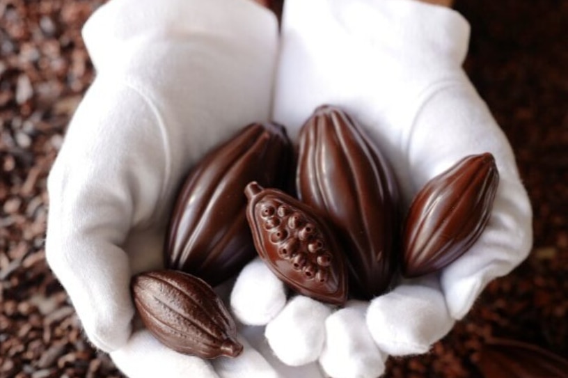 two gloved hands hold chocolate easter eggs