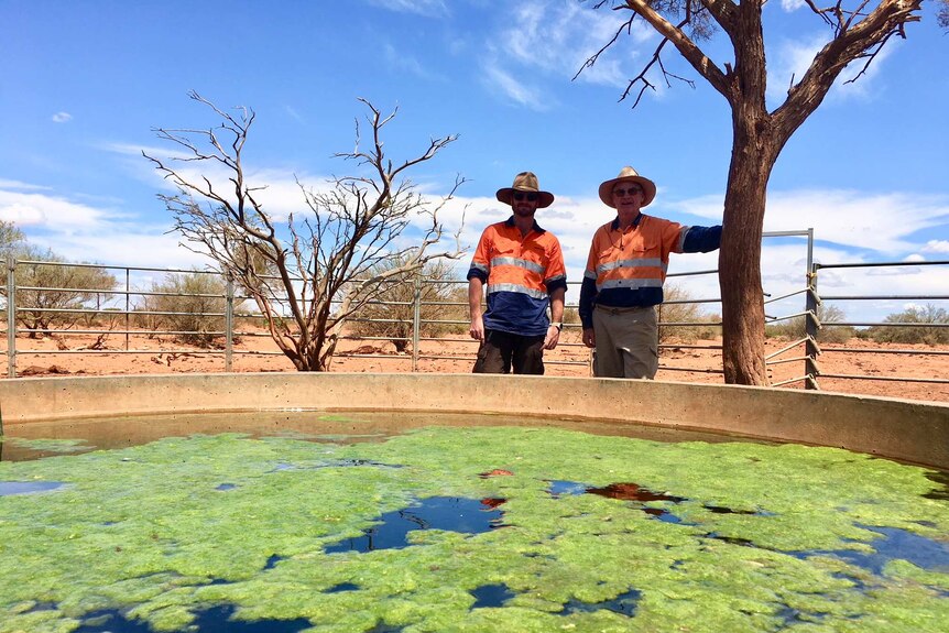 Two men stand under a tree in background with large water trough in foreground