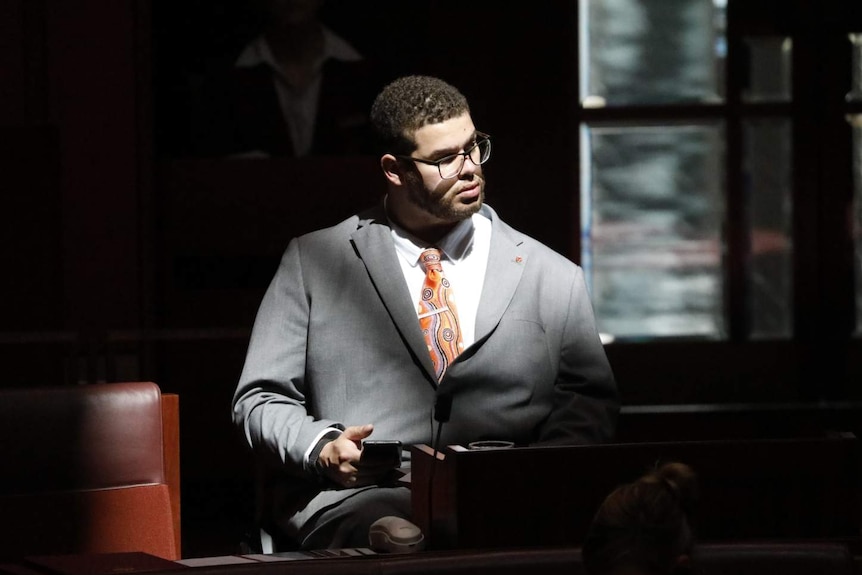 Surrounded by shadows, Jordon Steele-John sits in the chamber.