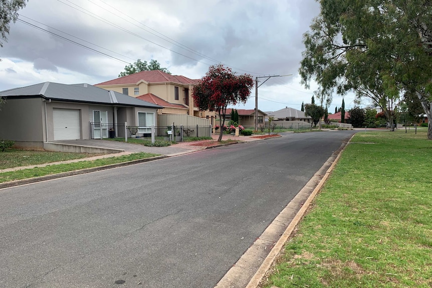 A suburban street with houses on the left side of the street and a park on the right side.