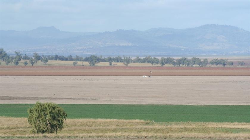 Liverpool Plains