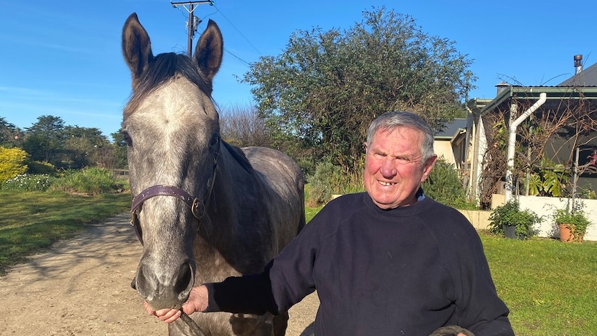 A man standing next to a horse at the end of a driveway