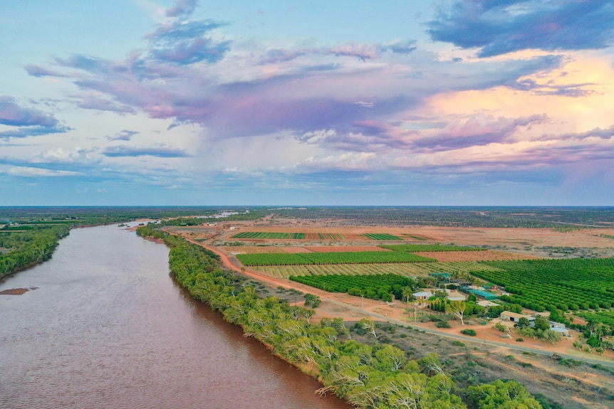 A drone photo of Gascoyne river plantations