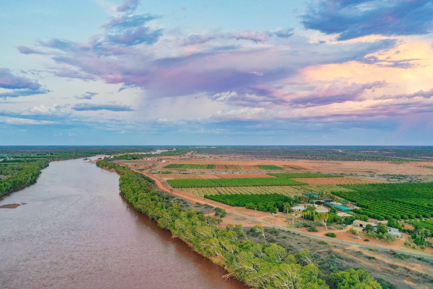 Une photo de drone des plantations de la rivière Gascoyne