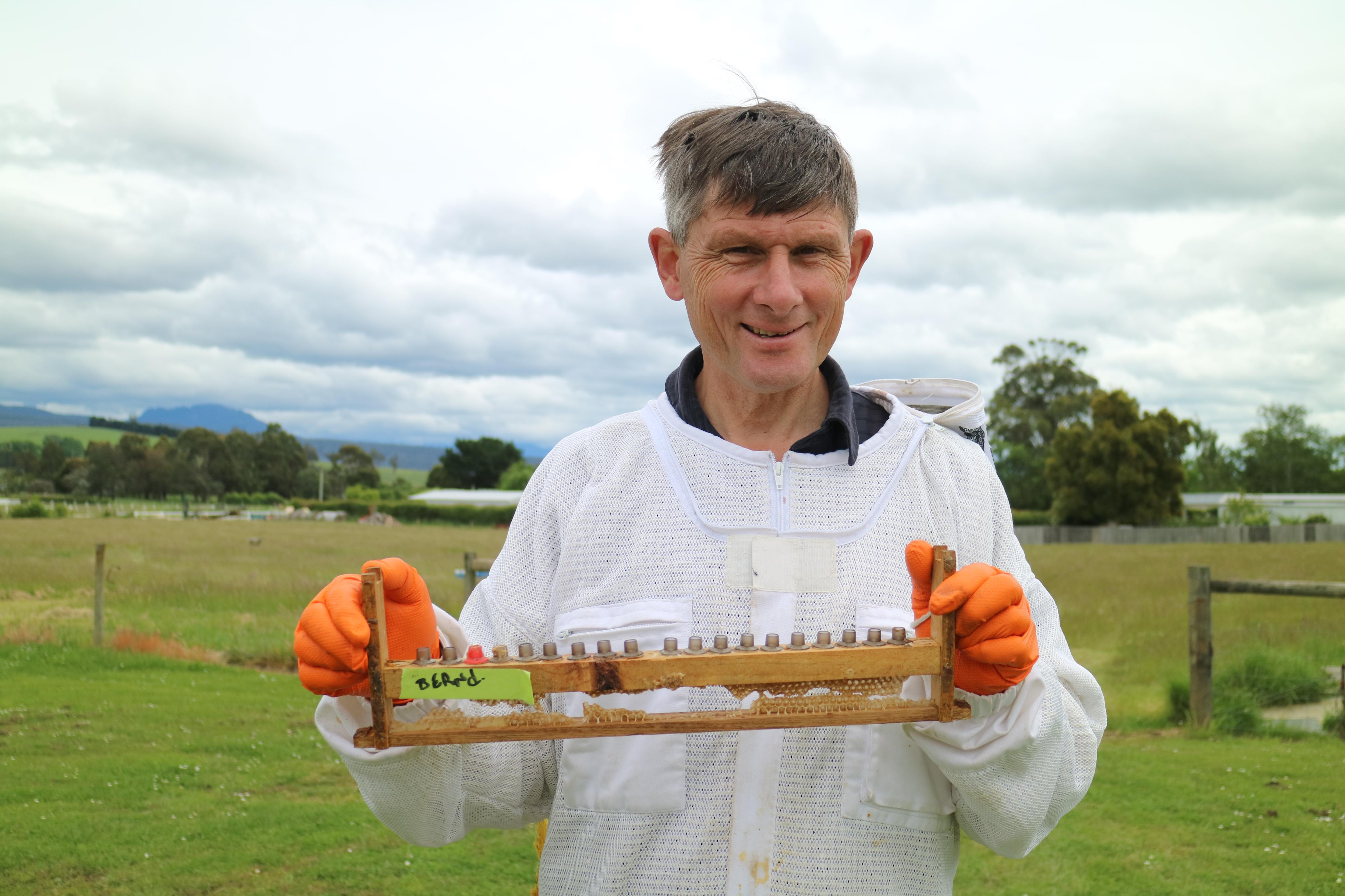 a man in a beekeeping suit holds a row of small cells containing baby bee larva