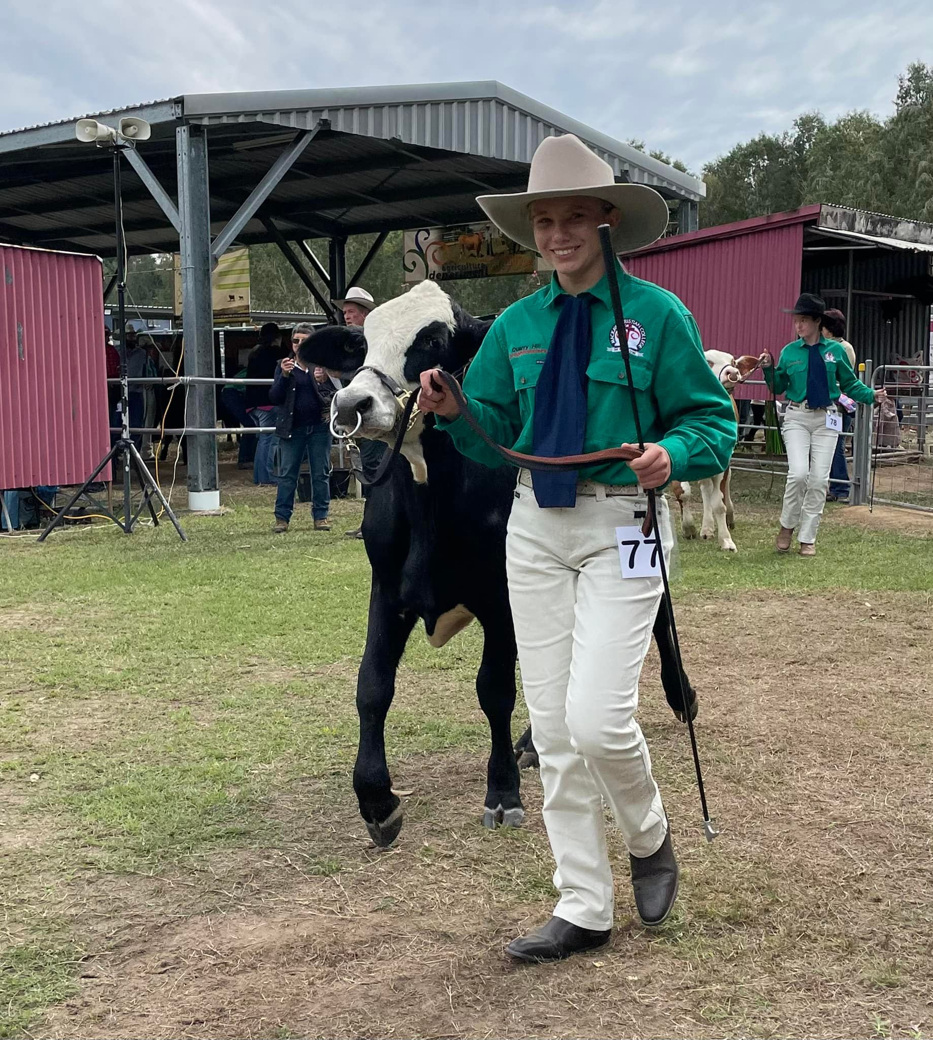 Remy Vella leads a cow on a rope, another student is visible leading a cow on a rope in the background