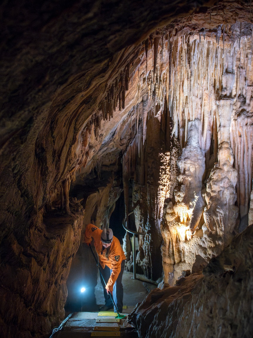 A woman in a fluro orange jacket sweeps the path beneath vast and intricate limestone formations inside a cave.