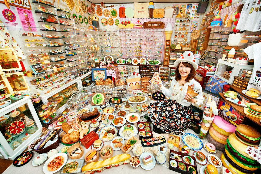 World record collection of plastic food