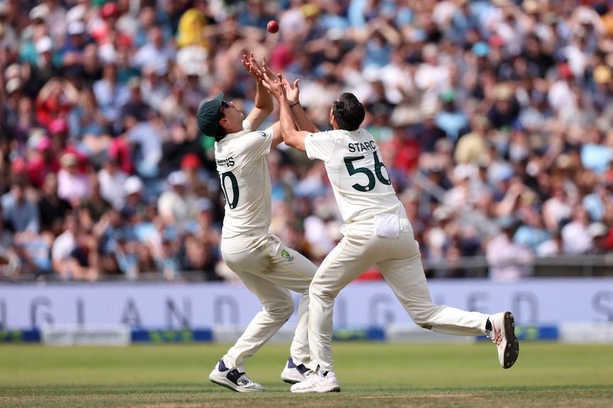 Australia fielders Pat Cummins and Mitchell Starc try to catch a cricket ball.