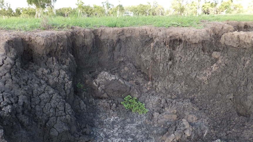 Gully erosion near Collinsville