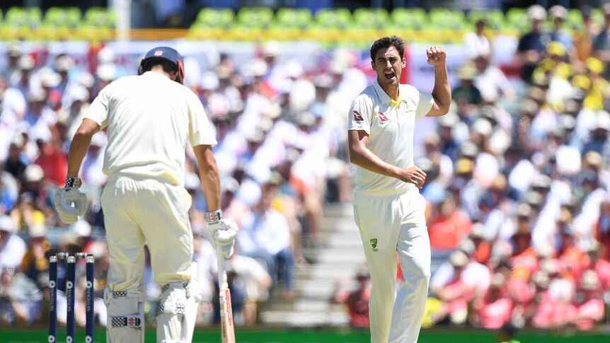 Mitchell Starc celebrates after dismissing England batsman Alastair Cook