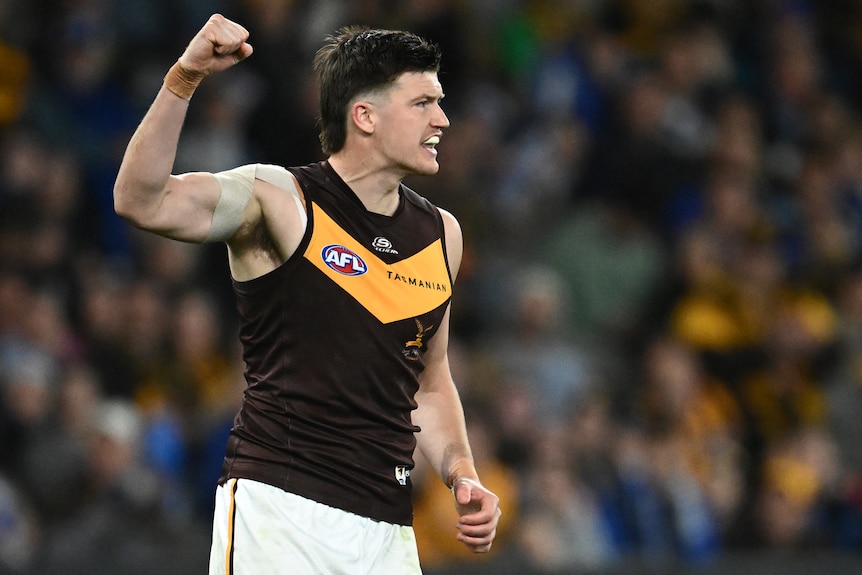 A Hawthorn AFL player pumps his right fist after kicking a goal.