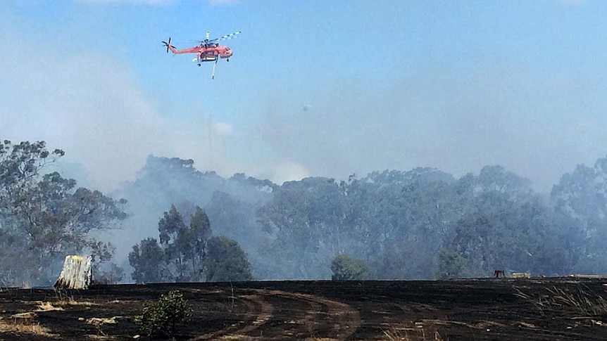 Firefighting aircraft brought in to tackle Redesdale fire