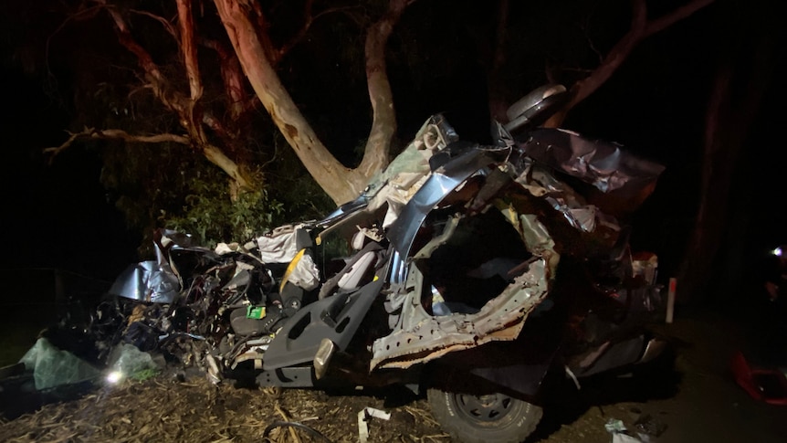 A twisted wreck of a car near a tree